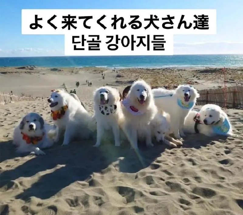 Plage Yuigahama Kamakura